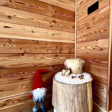 Διαμέρισμα Minichalet A